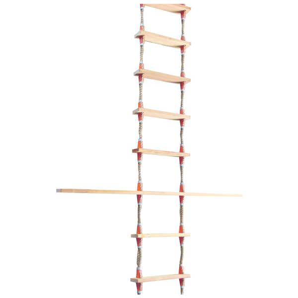 Pilot ladder